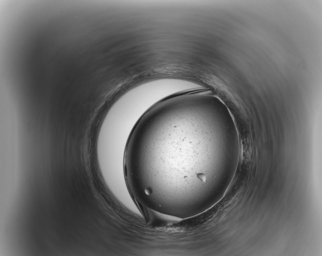 X0000093420448200710191009