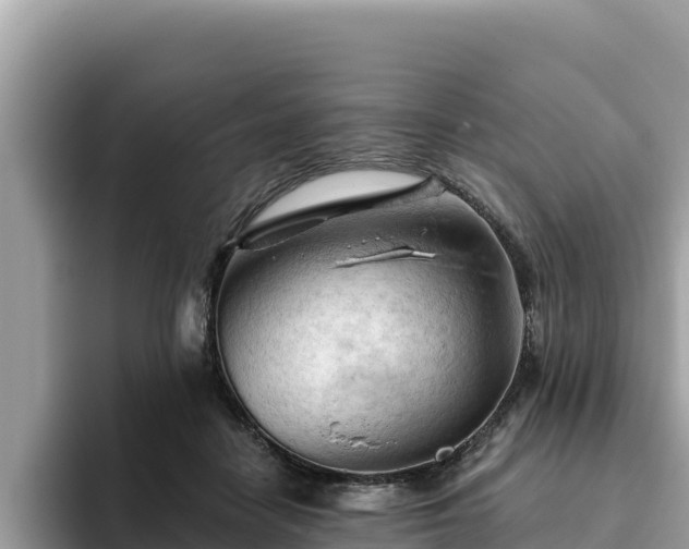 X0000093420458200710191009