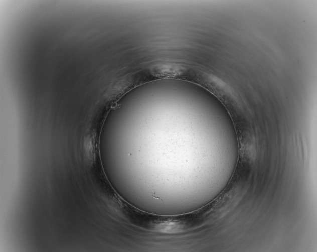 X0000093420460200710191009