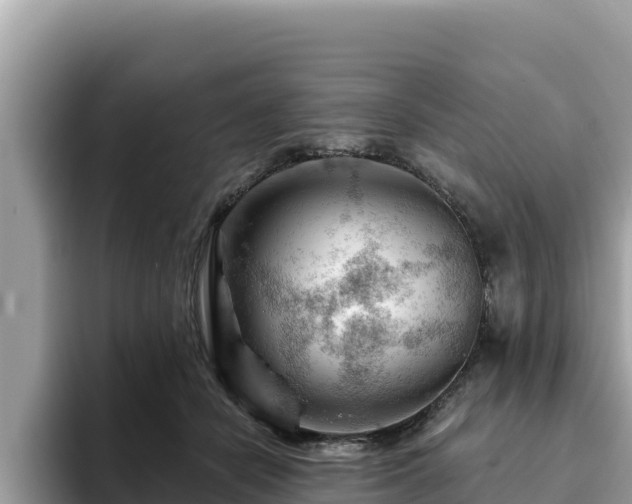 X0000093420462200710191009