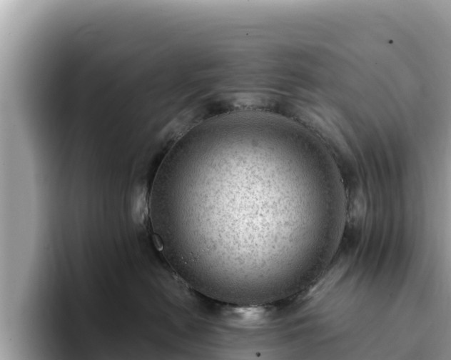 X0000093420478200710191009
