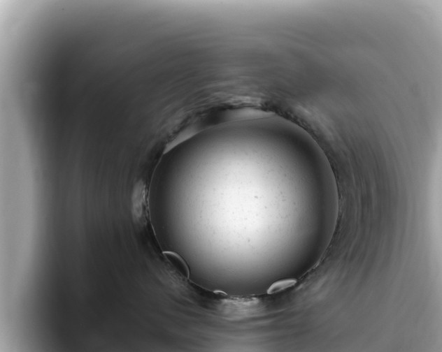 X0000093420480200710191009