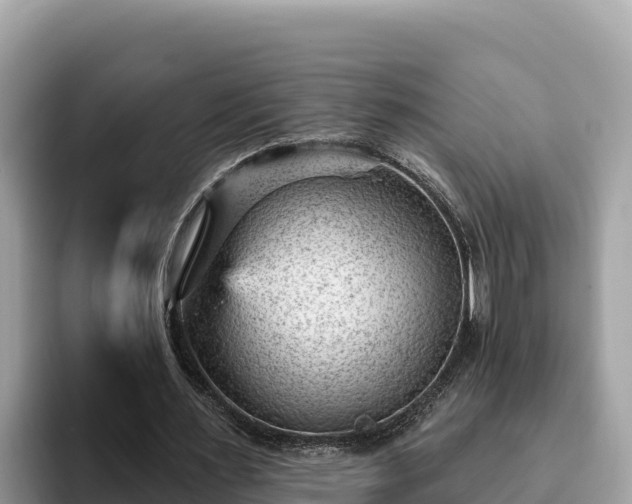 X0000093420483200710191008