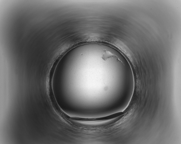 X0000093420485200710191008