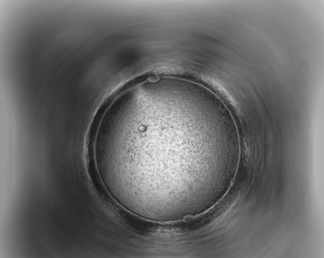 X0000093420487200710191008