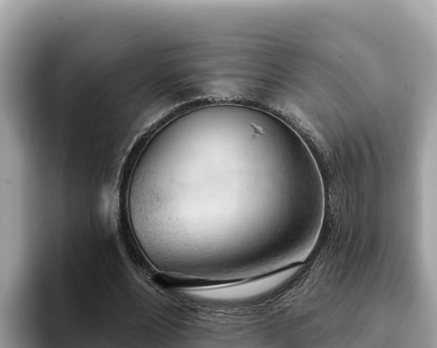 X0000093420488200710191008