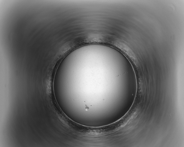 X0000093420489200710191008
