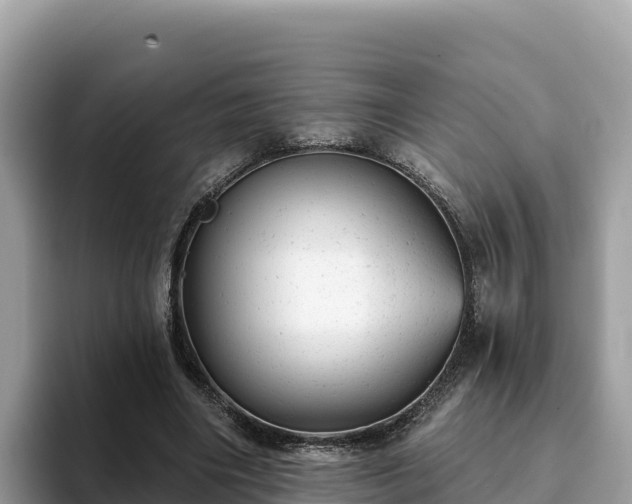 X0000093420490200710191008