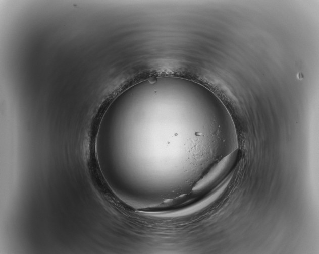 X0000093420496200710191008