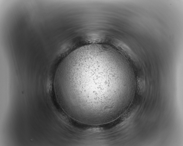 X0000093420499200710191008