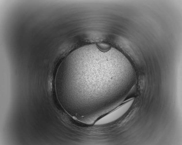 X0000093420501200710191008