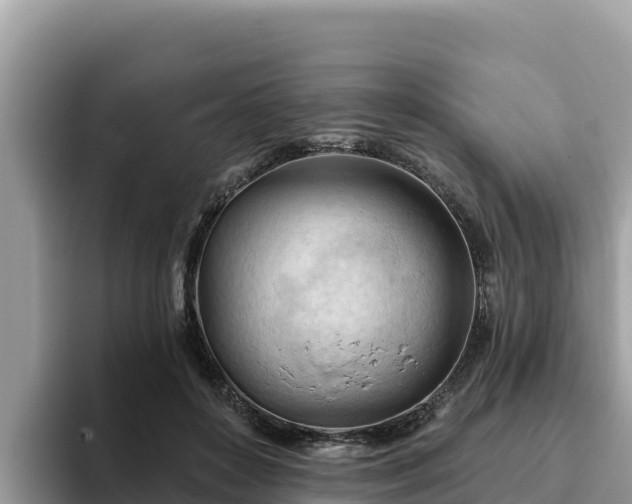 X0000093420504200710191008