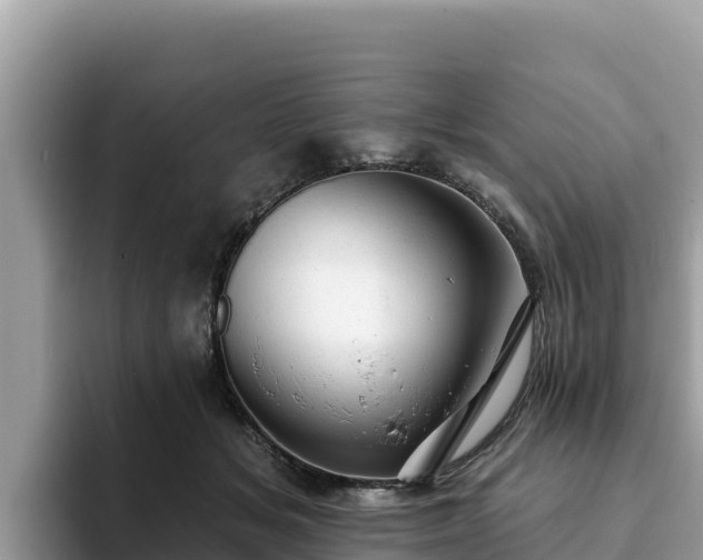 X0000093420509200710191008