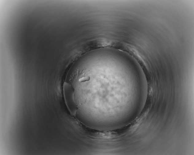 X0000093420524200710191008