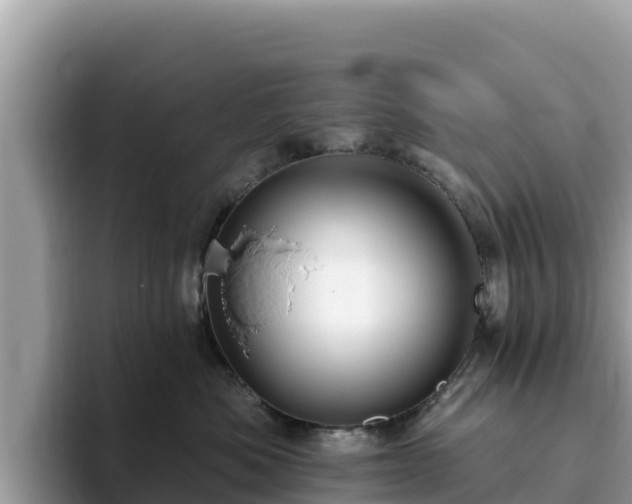 X0000093420525200710191008
