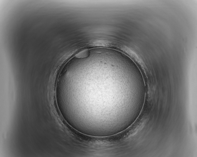 X0000093420529200710191007