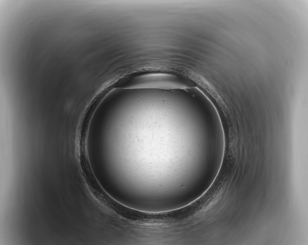 X0000093420530200710191007