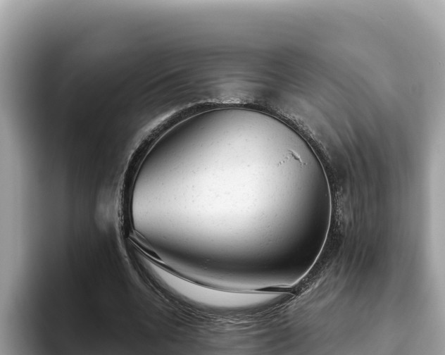 X0000093420536200710191007