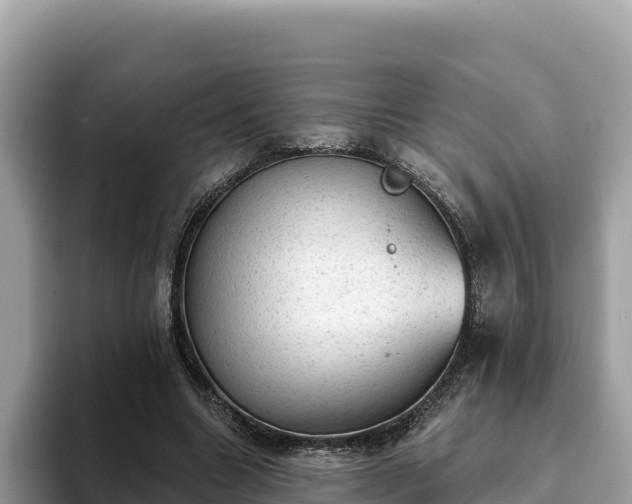 X0000093420538200710191007