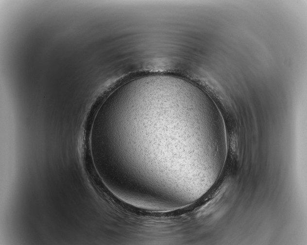 X0000093420540200710191007