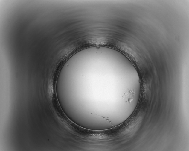 X0000093420541200710191007