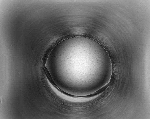 X0000093420544200710191007