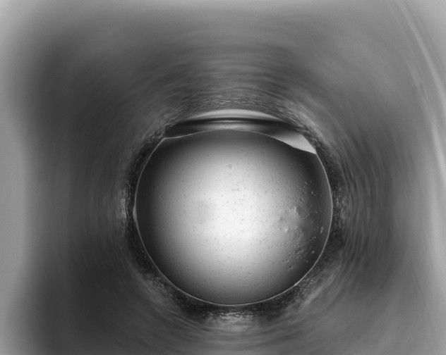 X0000093420546200710191007