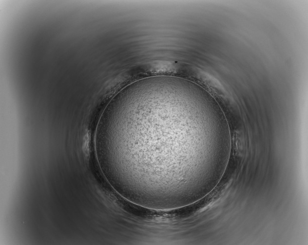 X0000093420550200710191007