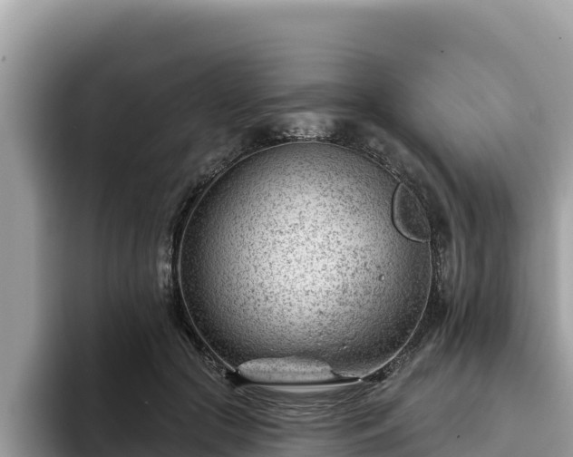 X0000093420553200710191008