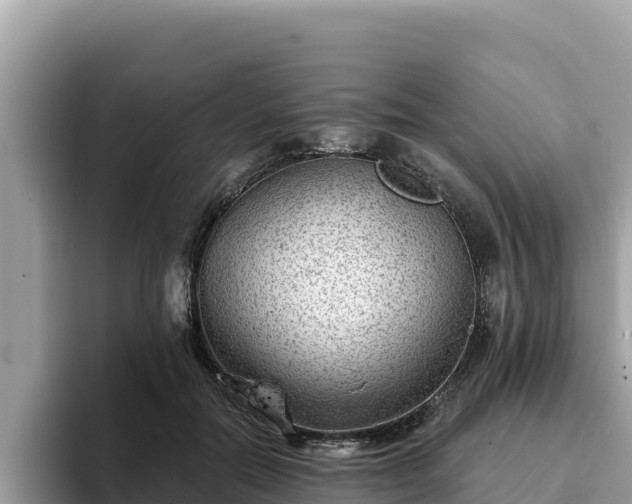 X0000093420554200710191008