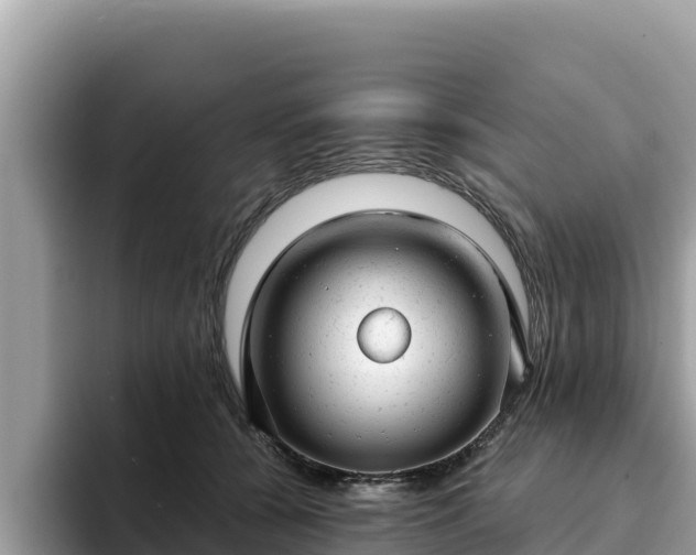 X0000093420560200710191008