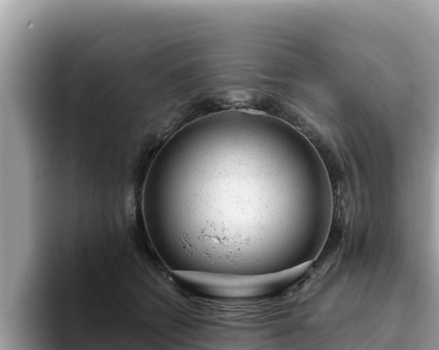 X0000093420562200710191008