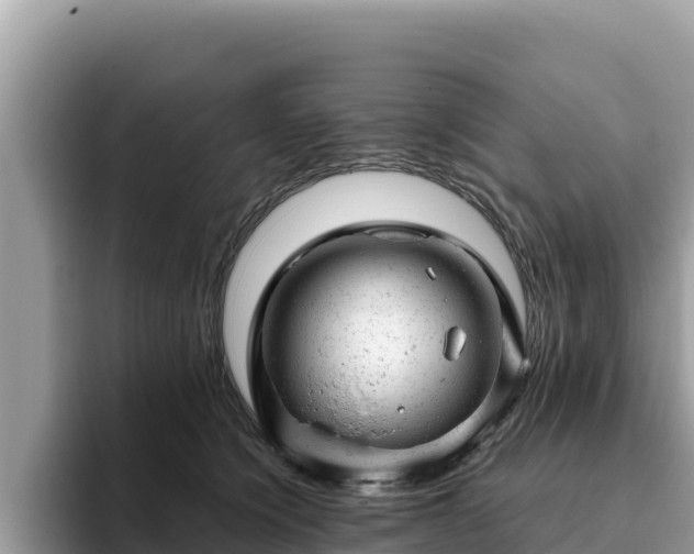 X0000093420564200710191008