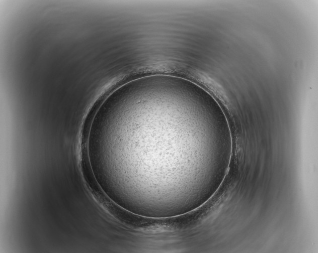 X0000093420578200710191007