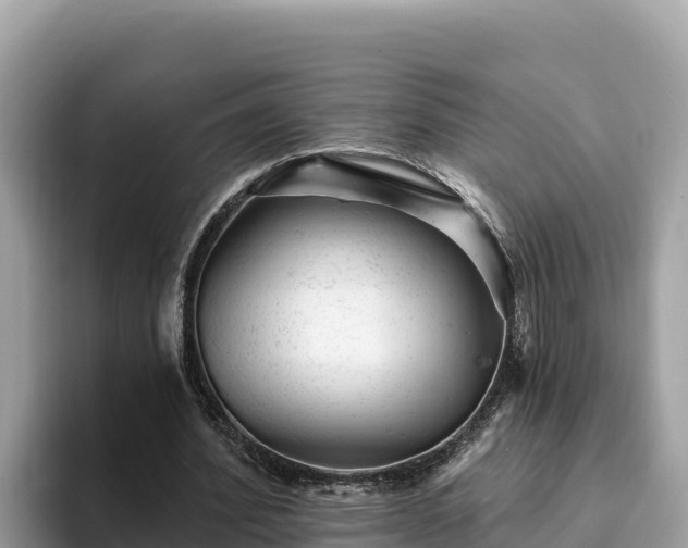 X0000093420580200710191007