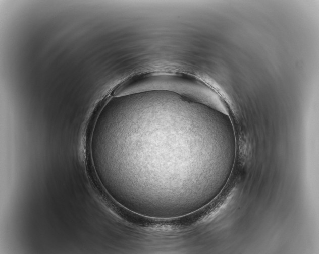 X0000093420581200710191007