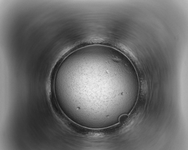 X0000093420582200710191007
