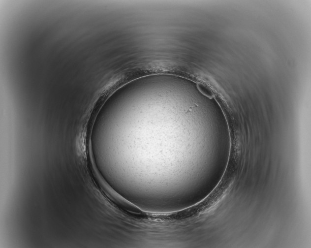 X0000093420585200710191007
