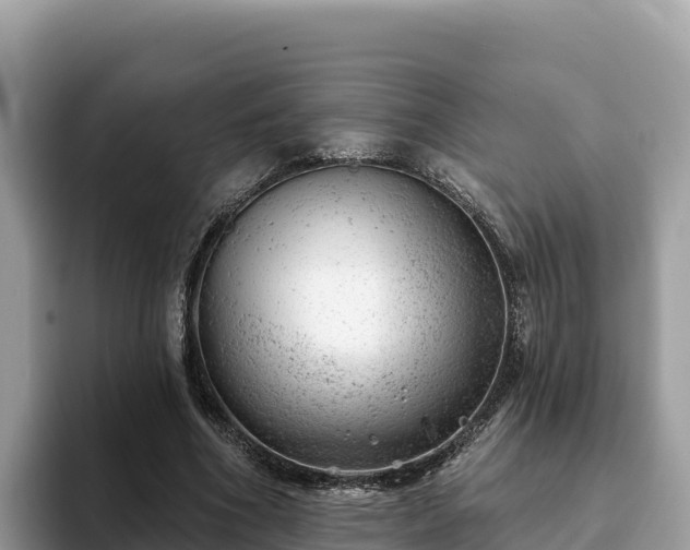 X0000093420586200710191007