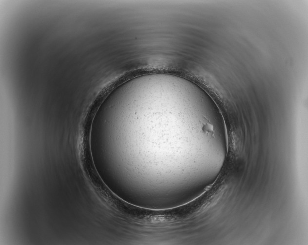 X0000093420588200710191007