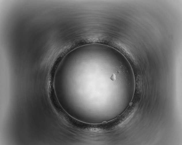 X0000093420590200710191007