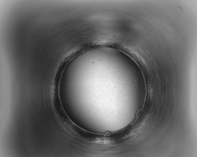 X0000093420591200710191007