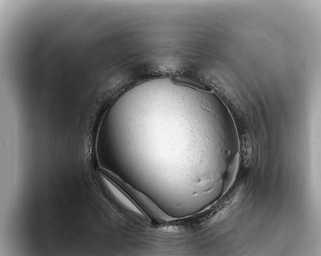 X0000093420593200710191007