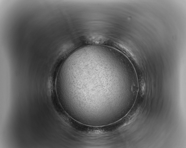 X0000093420594200710191007