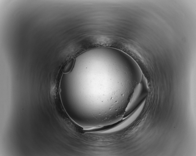 X0000093420597200710191007
