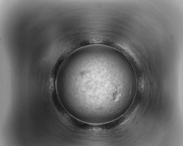 X0000093420598200710191007