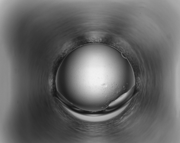 X0000093420600200710191007