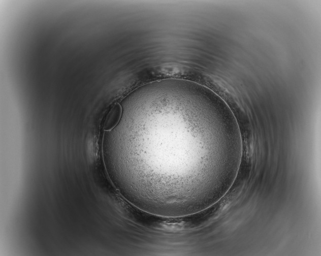 X0000093420606200710191007