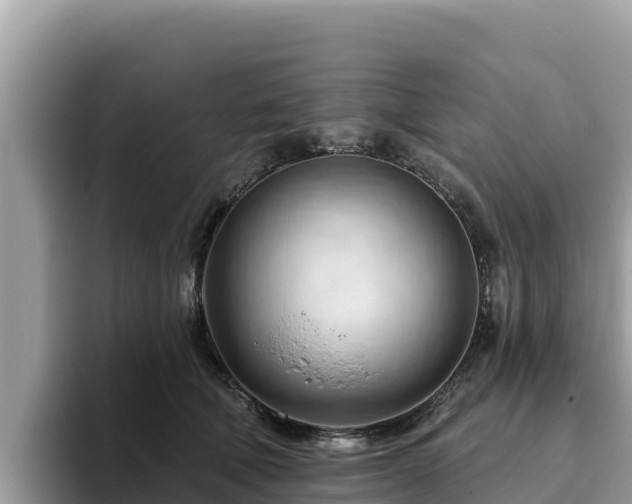 X0000093420610200710191007