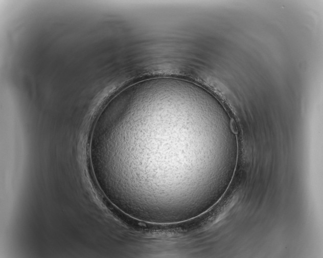 X0000093420625200710191006